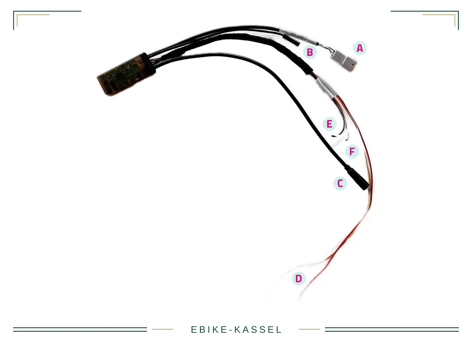 FIT Speed Node 2.1