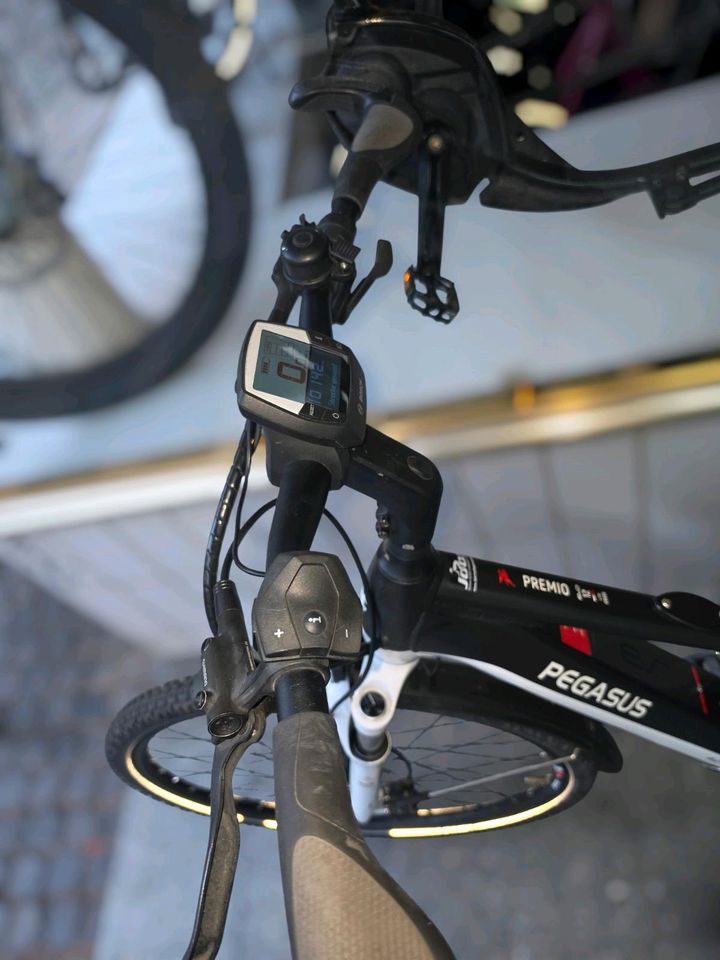 Pegasus Premio EVO 12