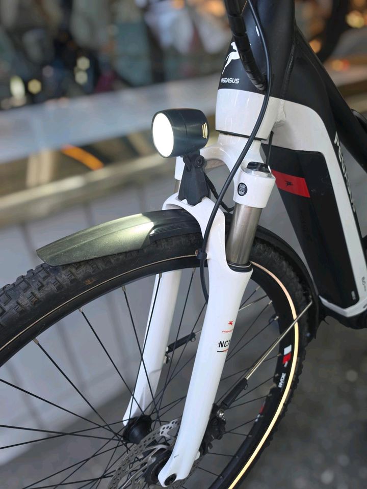 Pegasus Premio EVO 12
