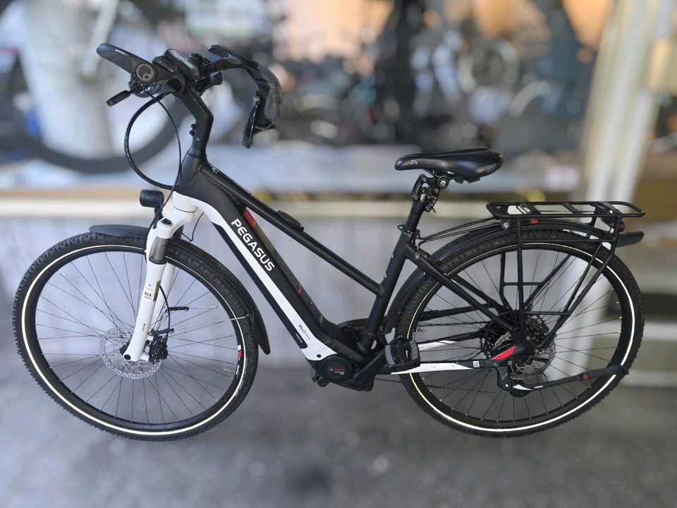 Pegasus Premio EVO 12