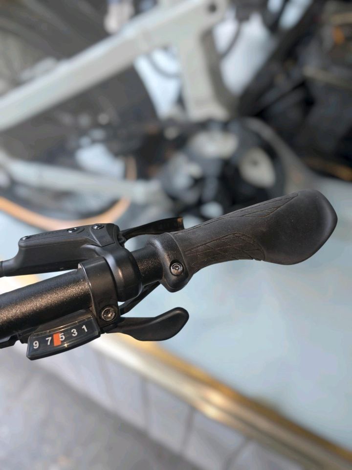 Pegasus Solero E9 Sport CX