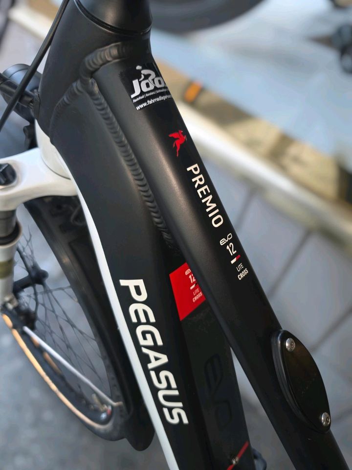 Pegasus Premio EVO 12