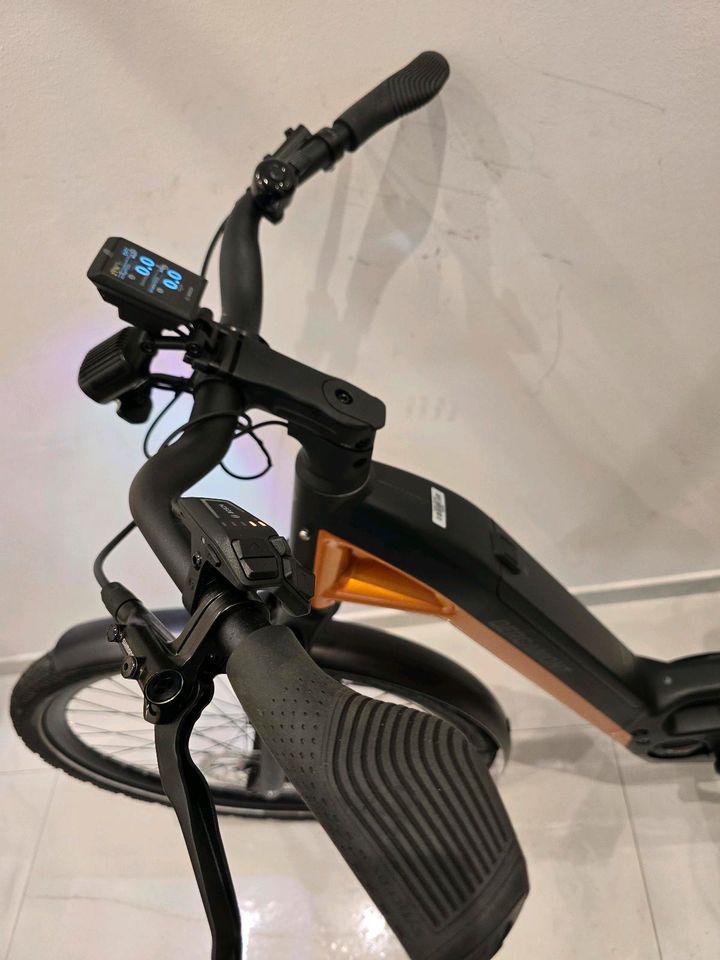 Bergamont E-Ville 10