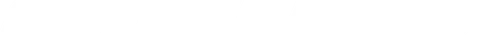 BULLS Logo